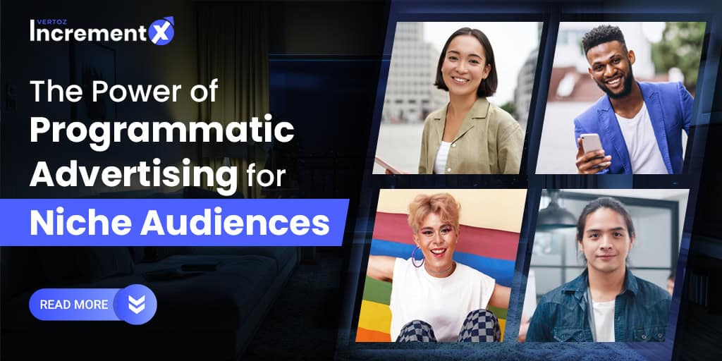 IX_Blogs_Programmatic Advertising for Niche Audiences_Banner 1.2